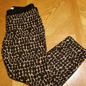 Loft Dress Pants